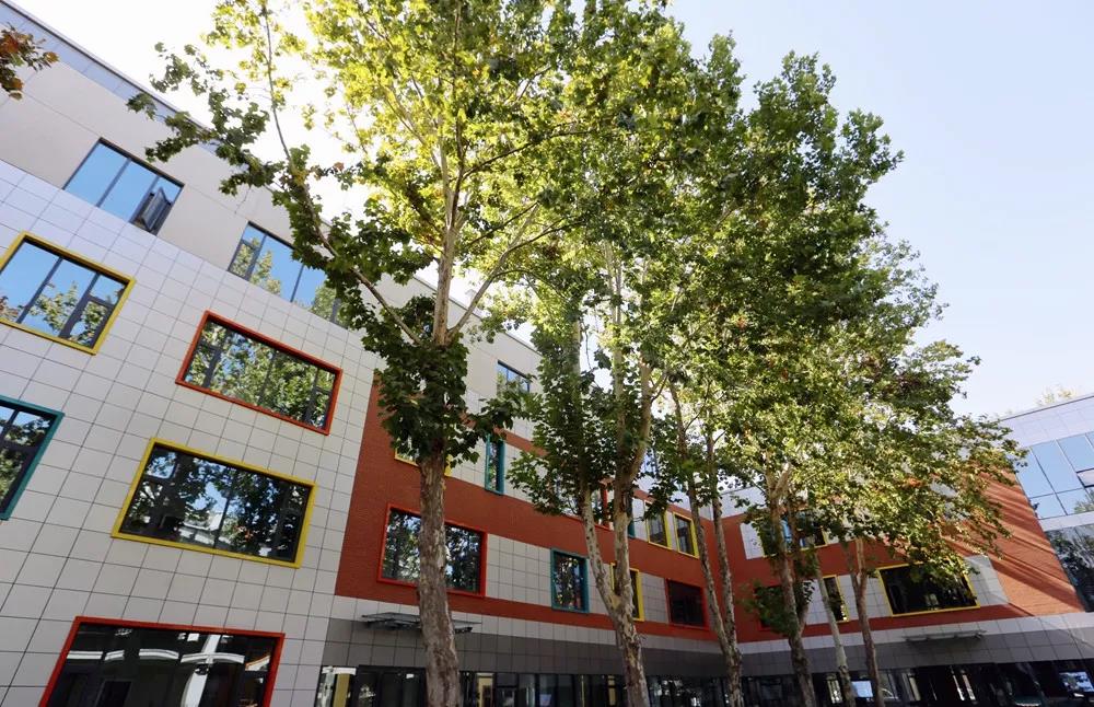 山影星工坊的秋色，與心中的美好不期而遇